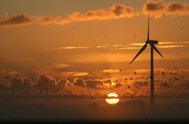 Statement on Painting Wind Turbine Blades