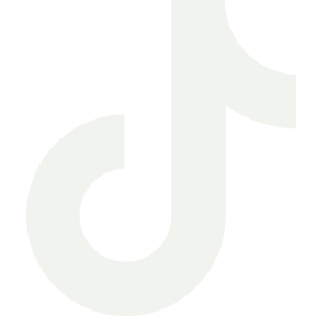 TikTok Icon
