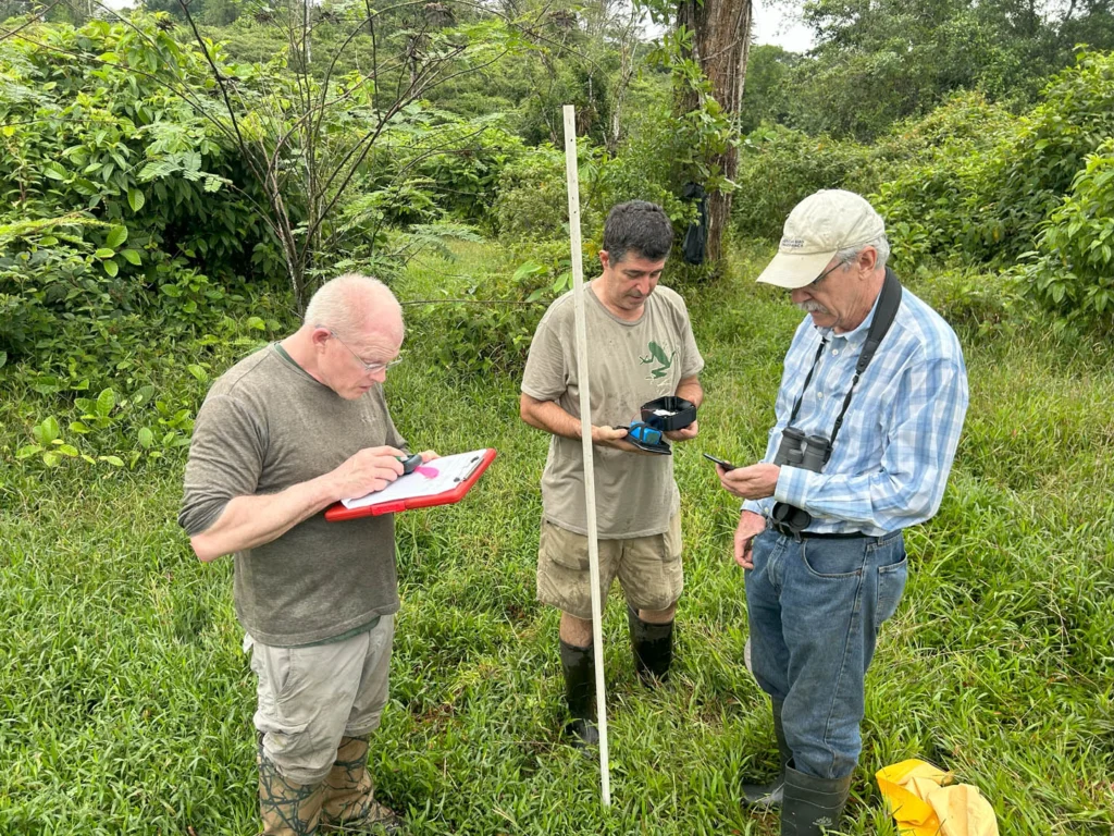Experts from ABC and our partners work throughout the Americas to conserve birds and their habitats.