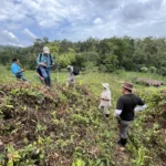 Experts from ABC and our partners work throughout the Americas to conserve birds and their habitats.