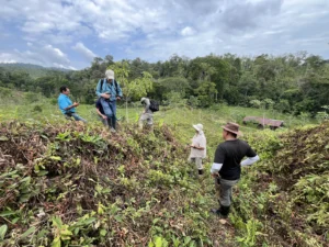 Experts from ABC and our partners work throughout the Americas to conserve birds and their habitats.