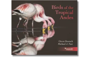 Birds of the Andes Book Cover - A group of flamingos drink water with their reflections showing. Photo by Owen Deutch.