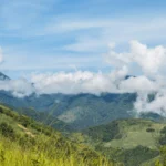 Alto Calima: Colombia's New Protected Area Benefiting People and Biodiversity