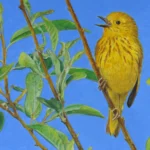 “Dawn Songs,” a New Collection of Poetry and Essays, is a Celebration of Birds and Nature