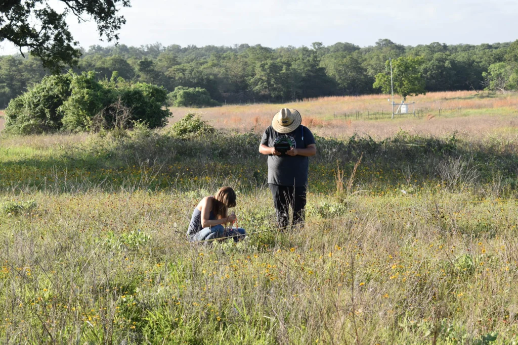 Experts from ABC and our partners work throughout the Americas to conserve birds and their habitats.