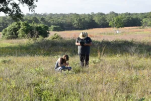 Experts from ABC and our partners work throughout the Americas to conserve birds and their habitats.