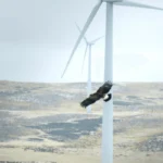 New York's Renewable Energy Regulations Neglect Bird Impacts