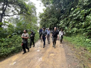 Experts from ABC and our partners work throughout the Americas to conserve birds and their habitats.