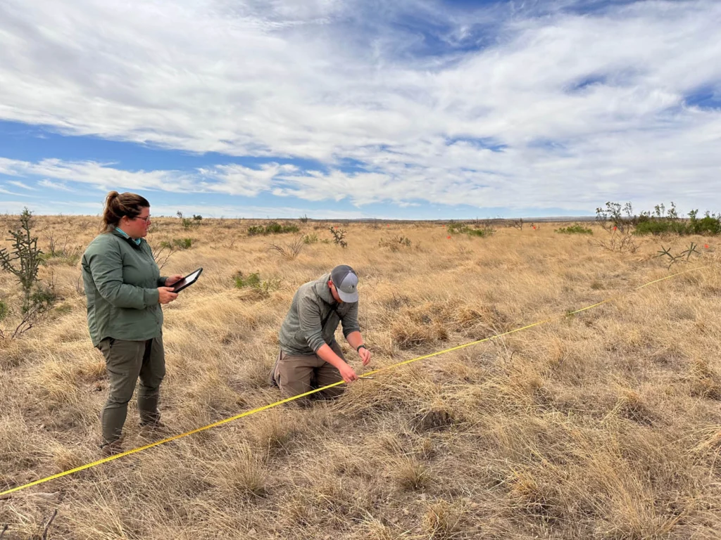 Experts from ABC and our partners work throughout the Americas to conserve birds and their habitats.