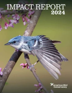 2024 American Bird Conservancy Impact Report Cover