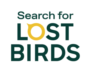 Search for Lost Birds logo - graphic text.