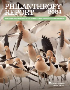 American Bird Conservancy Philanthropy Report 2024 Cover