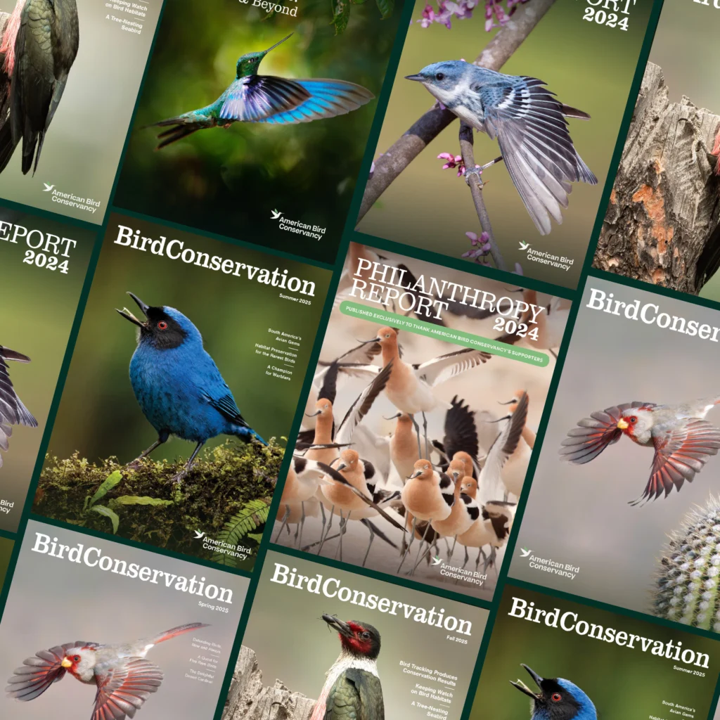 American Bird Conservancy's magazine, Bird Conservation, covers in a series on a grid.