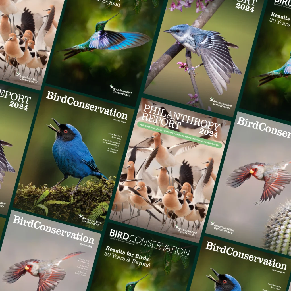 American Bird Conservancy's magazine, Bird Conservation, covers in a series on a grid.