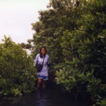 Creating ABC's Conservation and Justice Fellowships