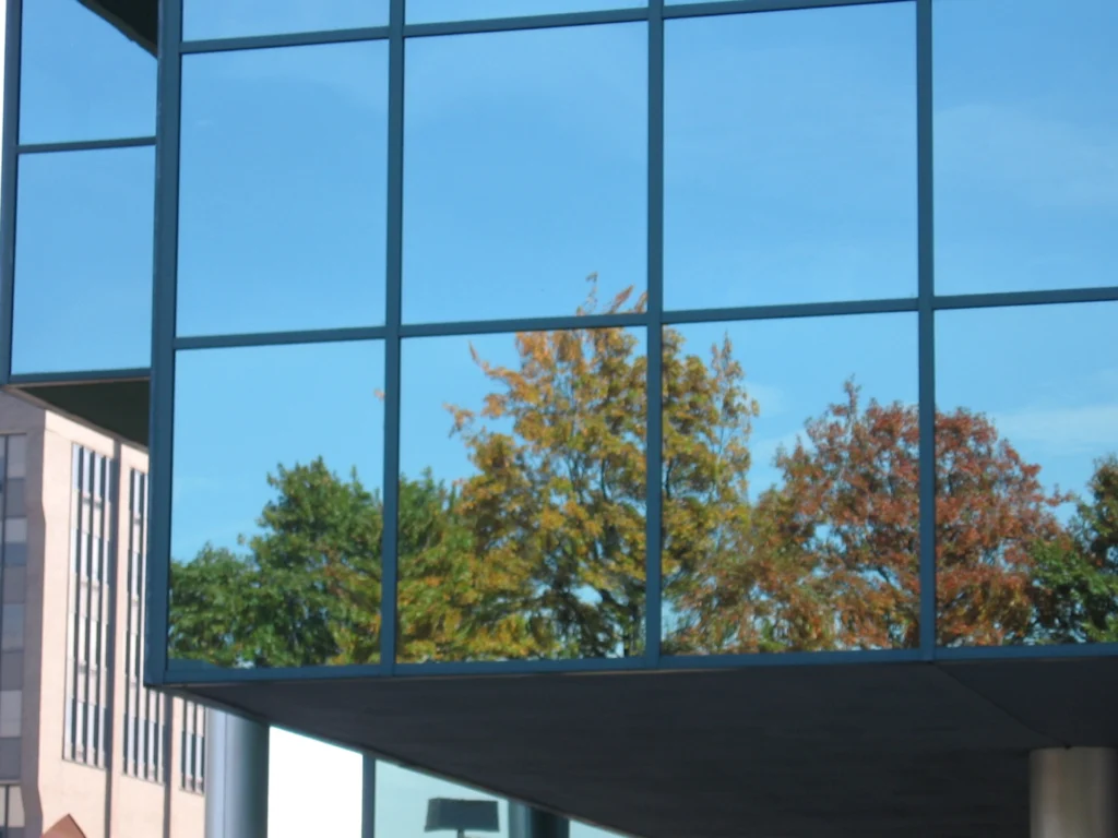 Trees reflecting on glass windows. Photo by Christine Sheapard.