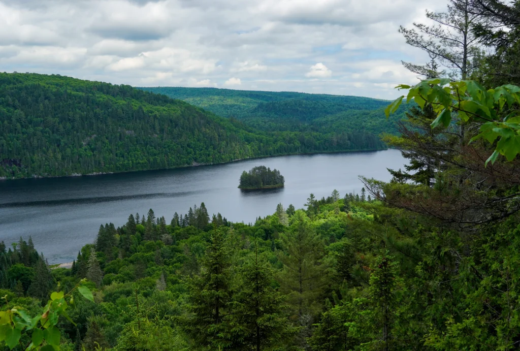 Wood Thrust Habitat - a beautiful lush green forest overlooks a flowing river with a small island in the middle. Photo by Som Prasad